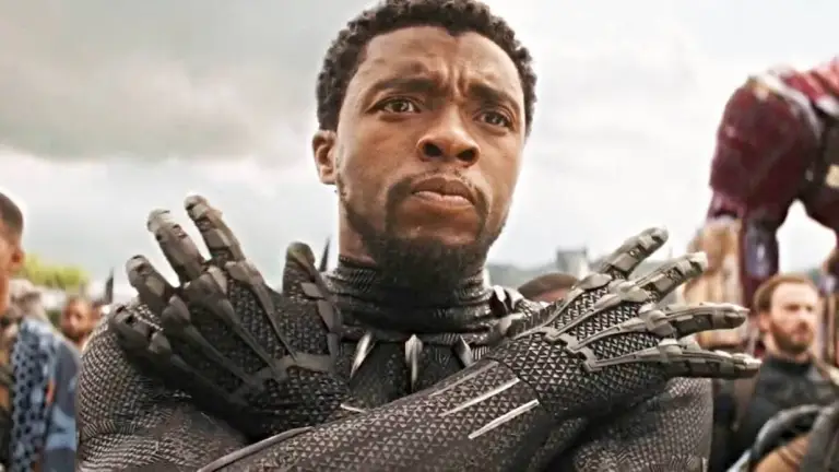 Chadwick Boseman, Black Panther Star, Passes Away Without a Will